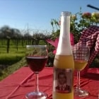 Pondl Winery event photo