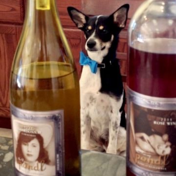 Pondl Winery mascot dog with wine bottles
