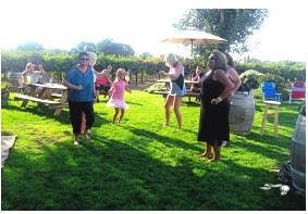 Guests enjoying the picnic area at Pondl Winery